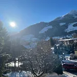 Brunnhof Gastein 3* 배드호프가스타인
