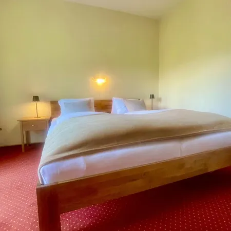 ゲストハウス Brunnhof Gastein 3*
